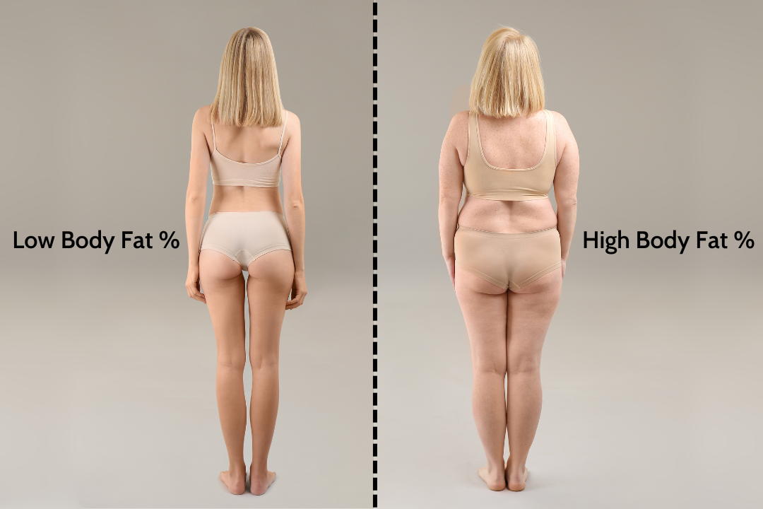 A before and after of a woman side by side showing a lower body fat percentage versus a higher body fat percentage