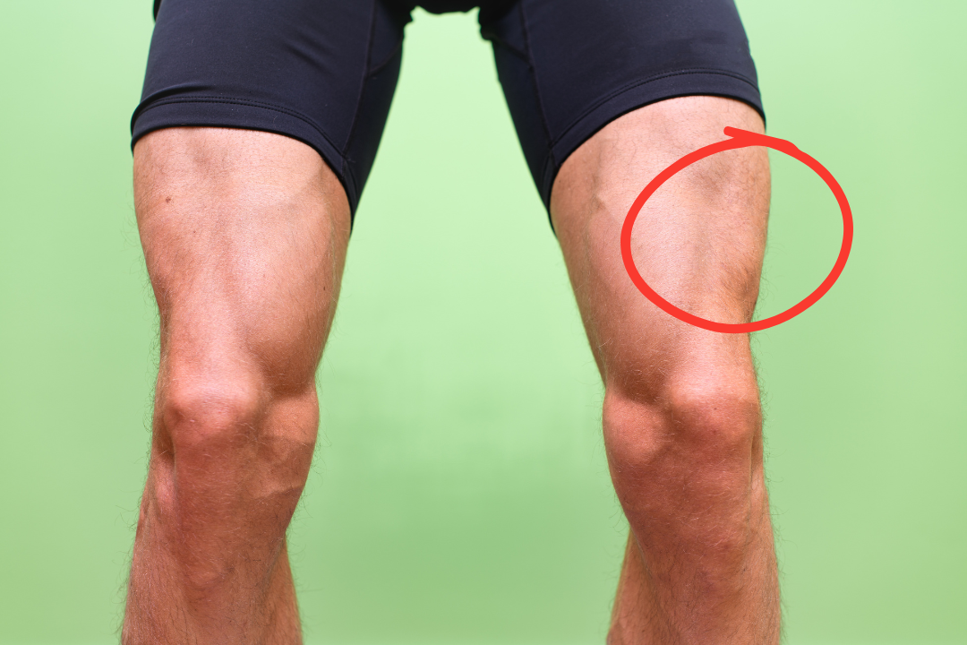 A close up of a pair of legs zoning in on the quadricep muscles